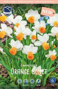 Нарцисс Оранж Комет (Orange Comet), 5 шт (разбор 12/14) - картинка 4
