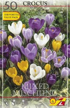 Крокус крупноцветковый смесь (Crocus vernus Mixed), 50 шт - картинка 2