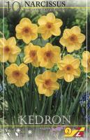Нарцисс Кедрон (Kedron), 10 шт (разбор 10/12)