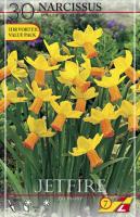 Нарцисс Джетфаер (Jetfire), 30 шт