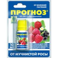 Прогноз (Грин Бэлт), 10 мл