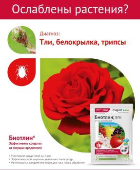 Биотлин ВРК (Август), 3 мл - картинка 2