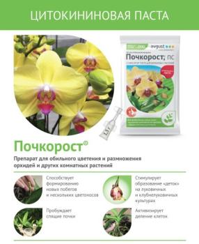 Почкорост, цитокининовая паста (Август), 1.5 г - картинка 2