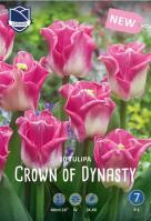 Тюльпан Кроун оф Династи (Crown of Dynasty), 10 шт (разбор 12/14)