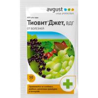 Тиовит Джет (Август), 30 г