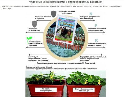 33 Богатыря почвооздоравливающий