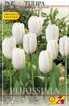 Тюльпан Пуриссима (Purissima), 25 шт (разбор 11/12) - картинка 3