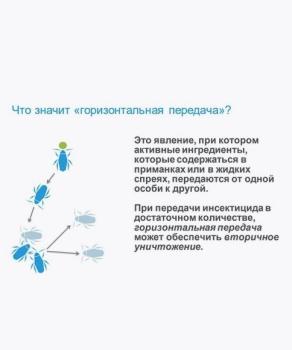 Адвион гель, от тараканов, 30 г (Сингента) - картинка 1