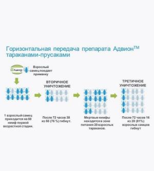 Адвион гель, от тараканов, 30 г (Сингента) - картинка 8