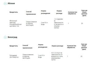 Батрайдер СК (Август), 10 мл - картинка 6